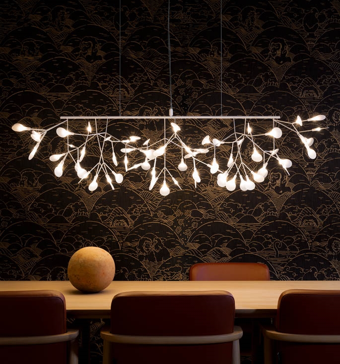 Heracleum III Linear - flere varianter
